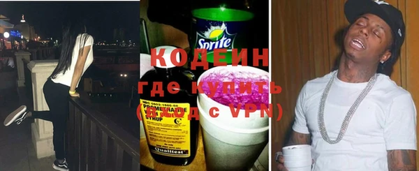 твердый Новодвинск