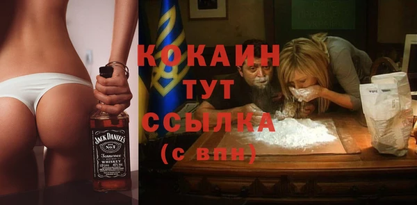 МДПВ Новозыбков