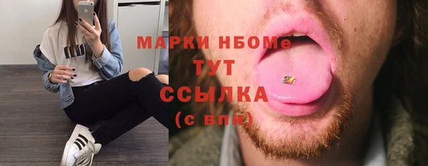 твердый Новодвинск