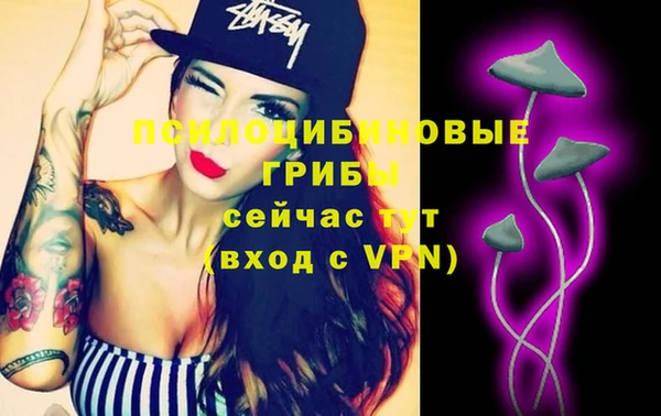 МДПВ Новозыбков