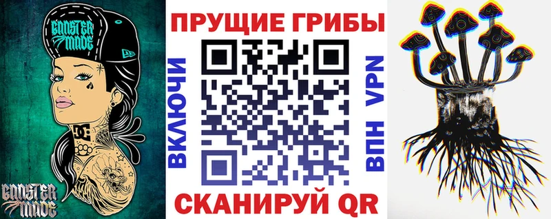купить наркоту  дарк нет клад  Псилоцибиновые грибы Cubensis  Рассказово 