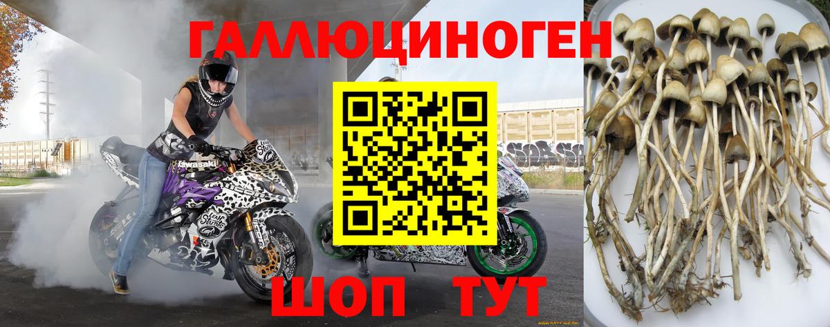 Галлюциногенные грибы мицелий  Вход с VPN  Рассказово  Галлюциногенные грибы прущие грибы 