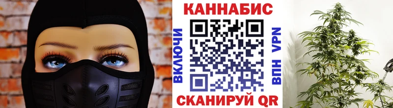 Шишки марихуана Amnesia  Рассказово 